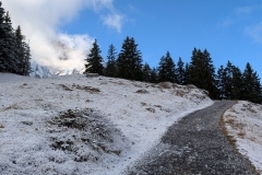 Croix-de-fer_18