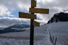 Croix-de-fer_20