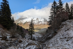 Croix-de-fer_35