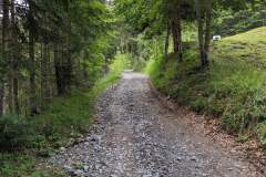 Debut de la piste dans la forêt (8 juillet 2023)