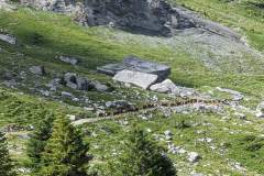 Transhumance qui s'achève au Praz de commune (8 juillet 2023)