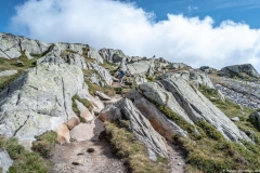 Sentier menant à Hohbalm (26 aout 2018)