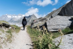 Suivre le sentier panoramique longeant le glacier (26 aout 2018)