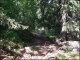 Dans la forêt vers le refuge