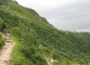 Sentier