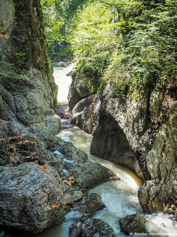 Along the Jogne – Destination Montagne