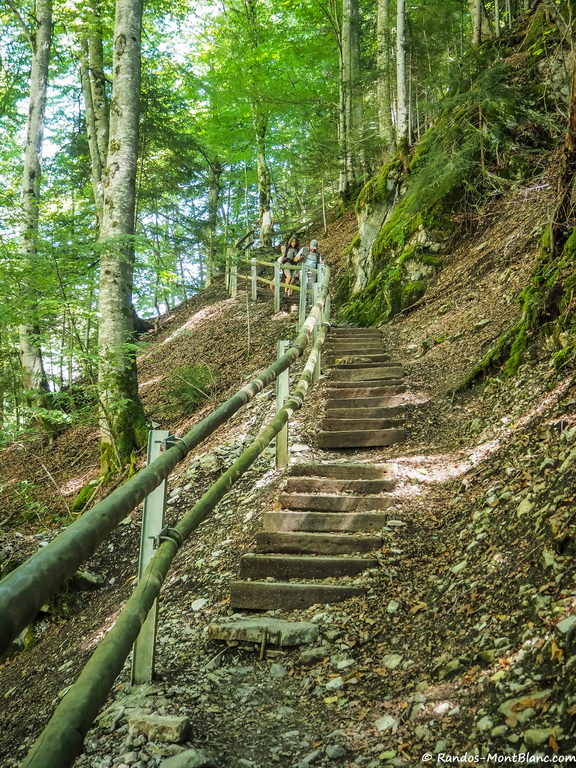 Gorges de la Jogne