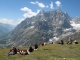 Aiguille de Leschaux depuis le Grand Col