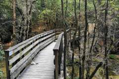 L'on peut voir sur notre droite le pont que l'on traversera au retour afin d'atteindre le Site de Choranche (grottes) (7 août 2024)