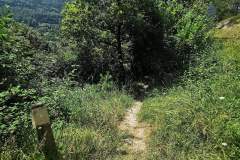 Continuer tout droit sur le sentier passant à côté du petit poteau. (7 août 2024)