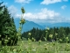 Vue sur le Môle et le Chablais (23 juillet 2017)