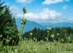 Vue sur le Môle et le Chablais (23 juillet 2017)