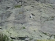 Rocher d'escalade (18 aout 2007)