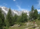 Sentier