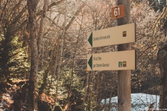 Suivre la direction de la Combe d'Armancette (25 novembre 2018)