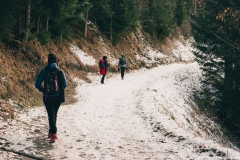 Le sentier s'aplatit un peu avant un long bout droit (25 novembre 2018)