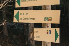 Continuer de suivre la direction de la Combe d'Armancette (25 novembre 2018)