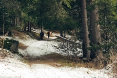 Le sentier continue dans la forêt (25 novembre 2018)