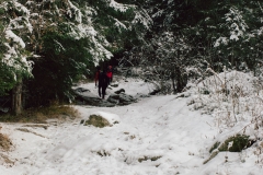 Le sentier continue dans la forêt (25 novembre 2018)