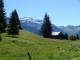 Chalets de Porte devant le Buet