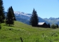 Chalets de Porte devant le Buet