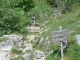 Sentier du lac de Lessy