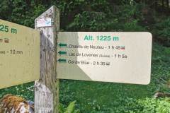Quitter la piste pour prendre à gauche en direction du Lac de Lovenex (29 mai 2022)