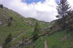 Le Col de la Croix est en vue (29 mai 2022)