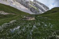 Petite prairie humide (30 juillet 2023)