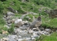 Torrent du Souay (10 juillet 2010)