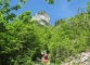 Montée dans la forêt