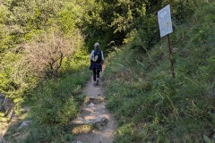 Sentier (29 juillet 2024)