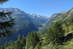 Vue à la montée sur la vallée (29 juillet 2024)