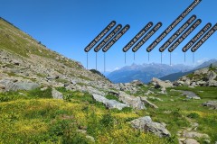 Panorama (29 juillet 2024)