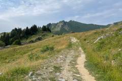 Sentier menant au lac de Roy (23 juillet 2023)
