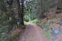 Début du sentier (9 août 2023)