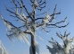 Les arbres prisonniers de la glace