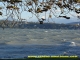 Lac léman par forte bise