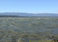 Lac léman par forte bise