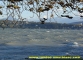 Lac léman par forte bise