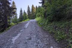 Piste carrossable (14 juillet 2024)