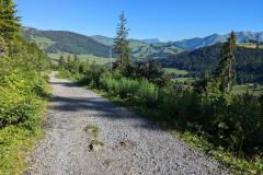 Piste carrossable (14 juillet 2024)