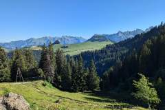Vue à la montée (14 juillet 2024)