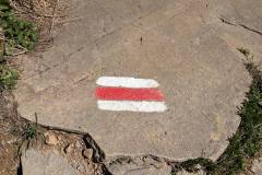 Marques sur le sentier (14 juillet 2024)
