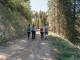 Le sentier évolue ensuite dans la forêt du Val de Morgins (21 mai 2020)