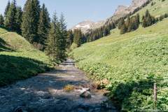 Vièze de Morgins (21 mai 2020)