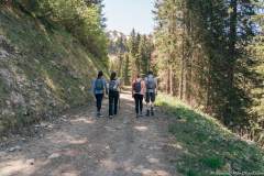 Le sentier évolue ensuite dans la forêt du Val de Morgins (21 mai 2020)