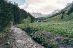 Redescente dans le val le long de la Vièze de Morgins (21 mai 2020)