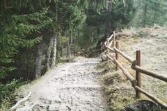 Progression en forêt (13 septembre 2020)