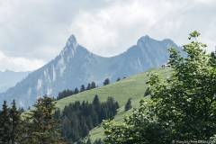 Dent de Broc, Col des Combes et Dent du Chamois (21 juin 2020)